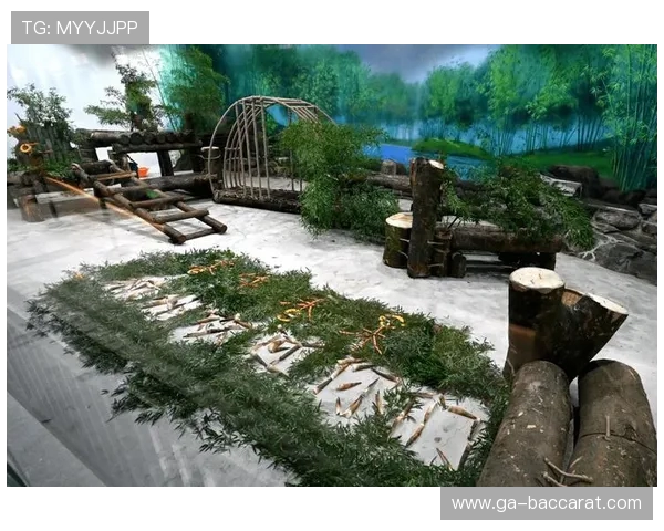 在虚拟世界打造理想动物园，探索最具创意的动物园建设之道